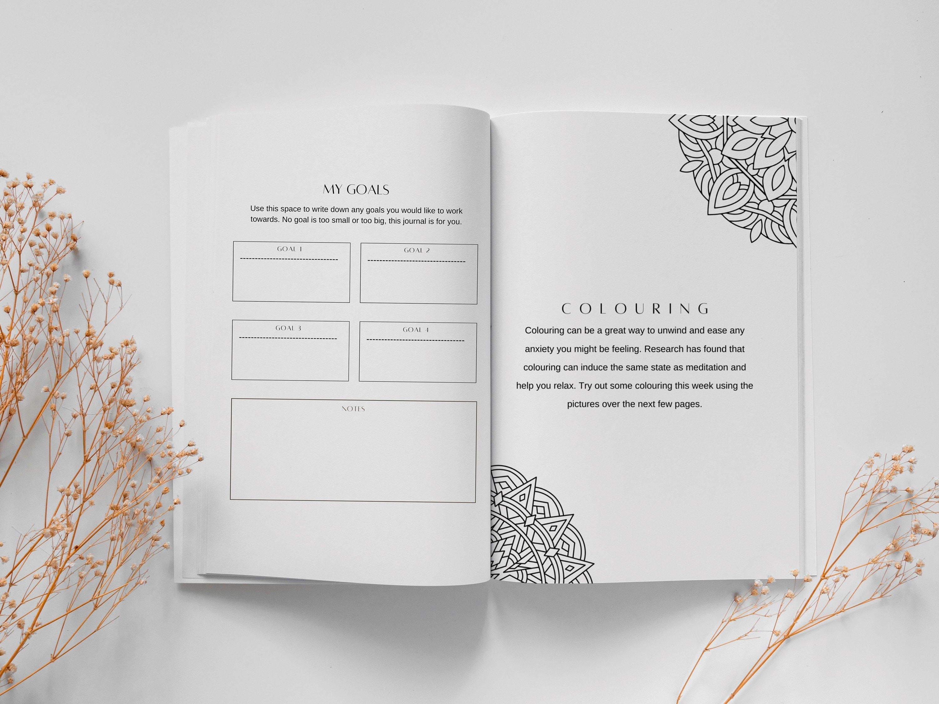 Wellbeing Journal for Mental Health: Guided Journal for Anxiety, Depression, Self-Love, Self-Care | Daily Mood Tracker & Guided Exercises